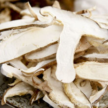 Best Selling Dried Mushroom Slice Manufacturing